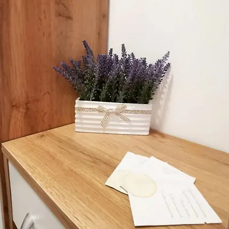 Apartment Wind Zlatibor